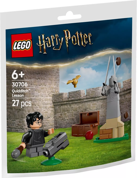 Quidditch Lesson paper bag / polybag