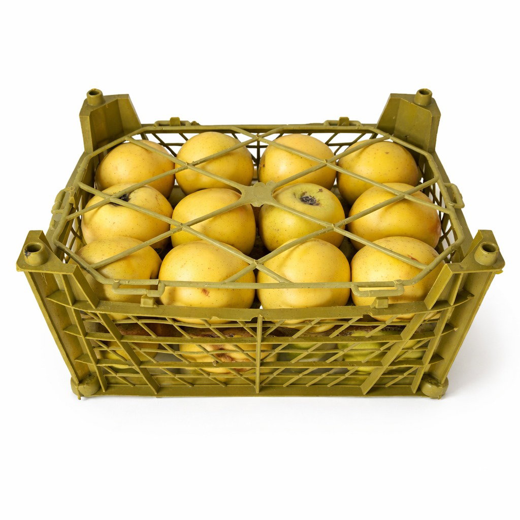 تفاح أصفر - ايران (صندوق 2 كجم) / Yellow Apple - Iran  (2kg box)_0