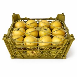تفاح أصفر - ايران (صندوق 2 كجم) / Yellow Apple - Iran  (2kg box)