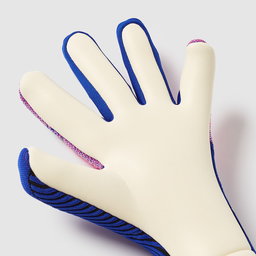 Nike Phantom Dynamic Fit Goalkeeper Gloves