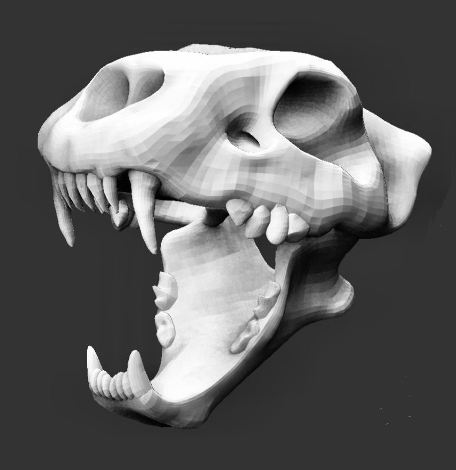 Animal Skulls Lion Wall Mount