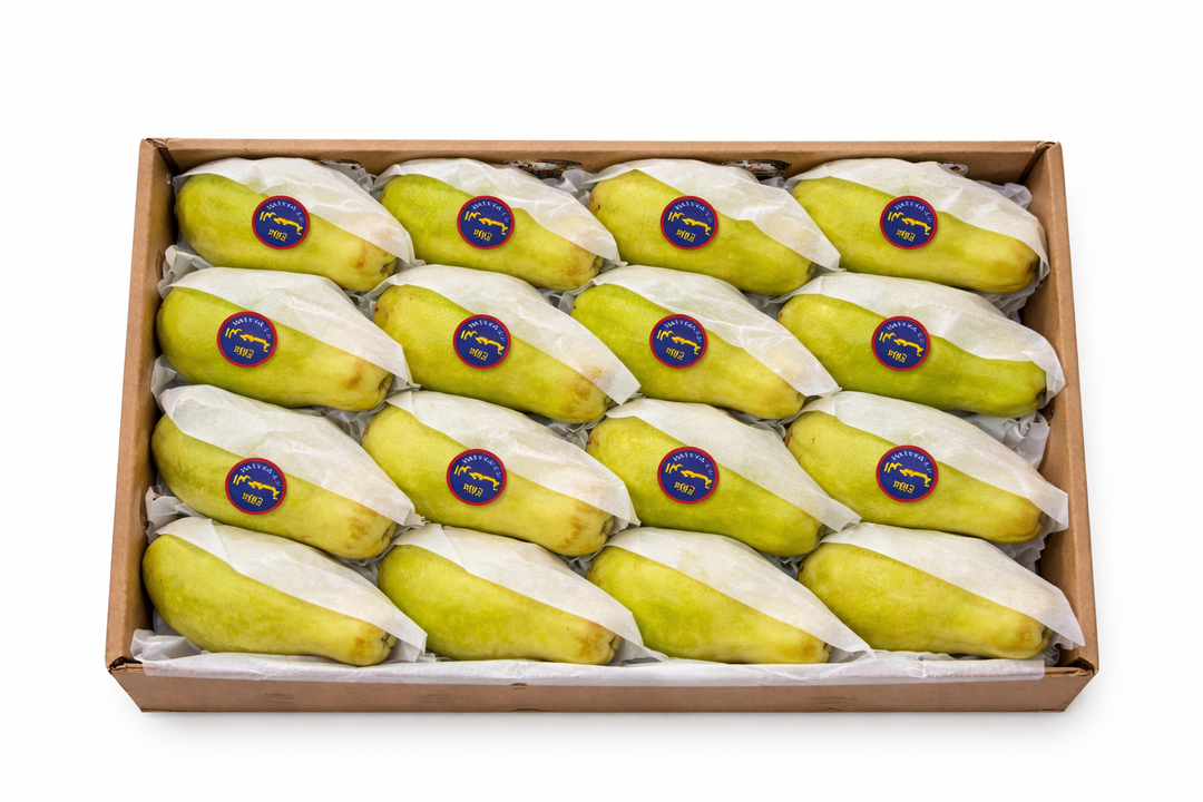 جوافة – مصر (صندوق 2 كجم) / Guava – Egypt (2kg box)