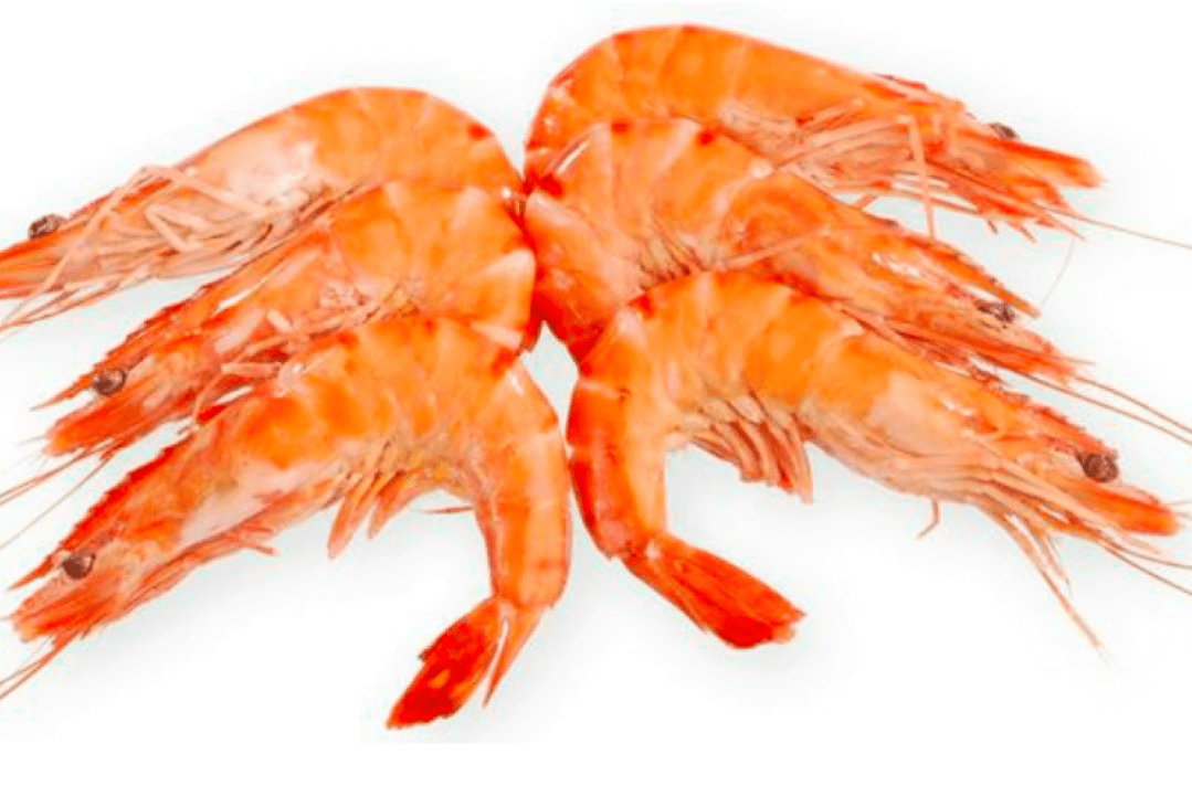 FRUIT DE MER PANE_1