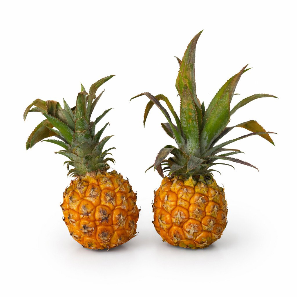 أناناس صغير – موريشيوس (حبة واحدة) / Baby Pineapple – Mauritius (1 pc)_0