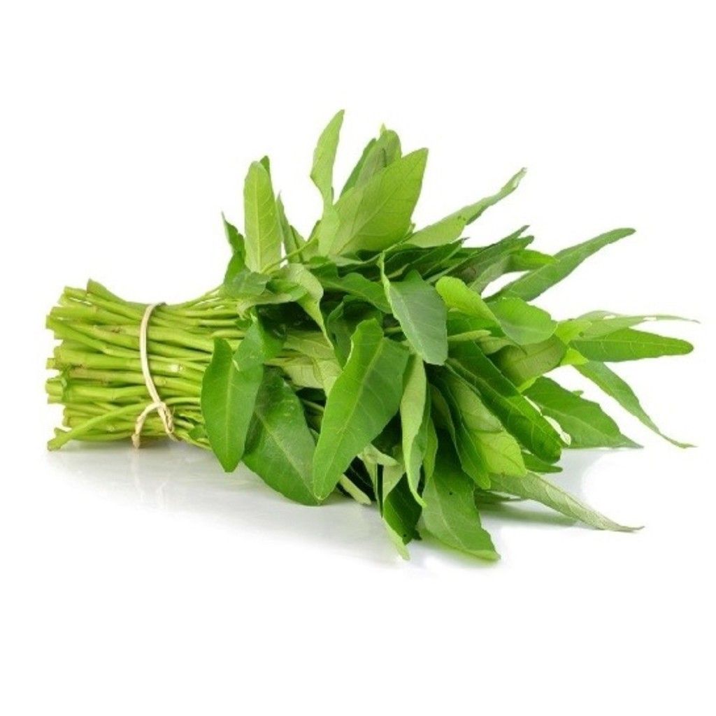 Kangkung
