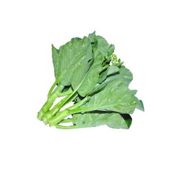 Kailan