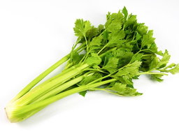 Daun Sup