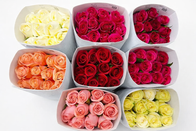 Monthly Signature Rose Subscription