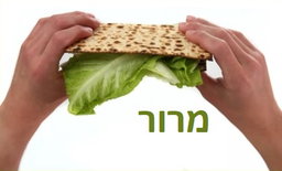Maror / מרור 