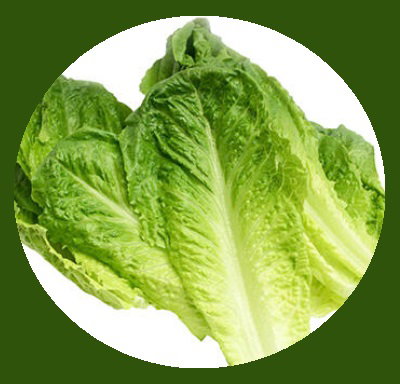 Romaine Hearts (2lbs / 32oz)_1