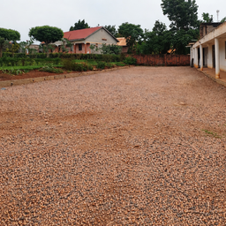 AMPLE PARKING