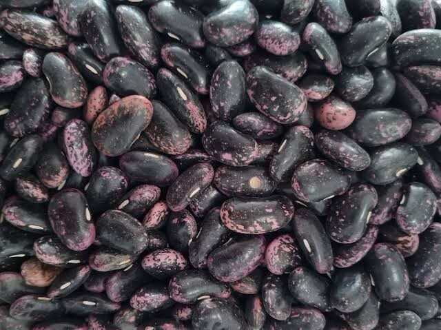 Black butter beans_1