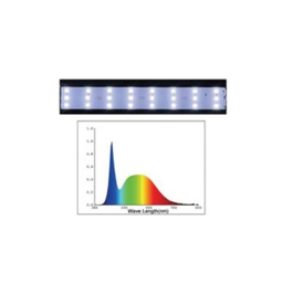 DOPHIN LED