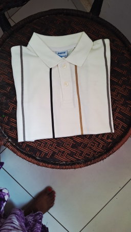 Polo skate