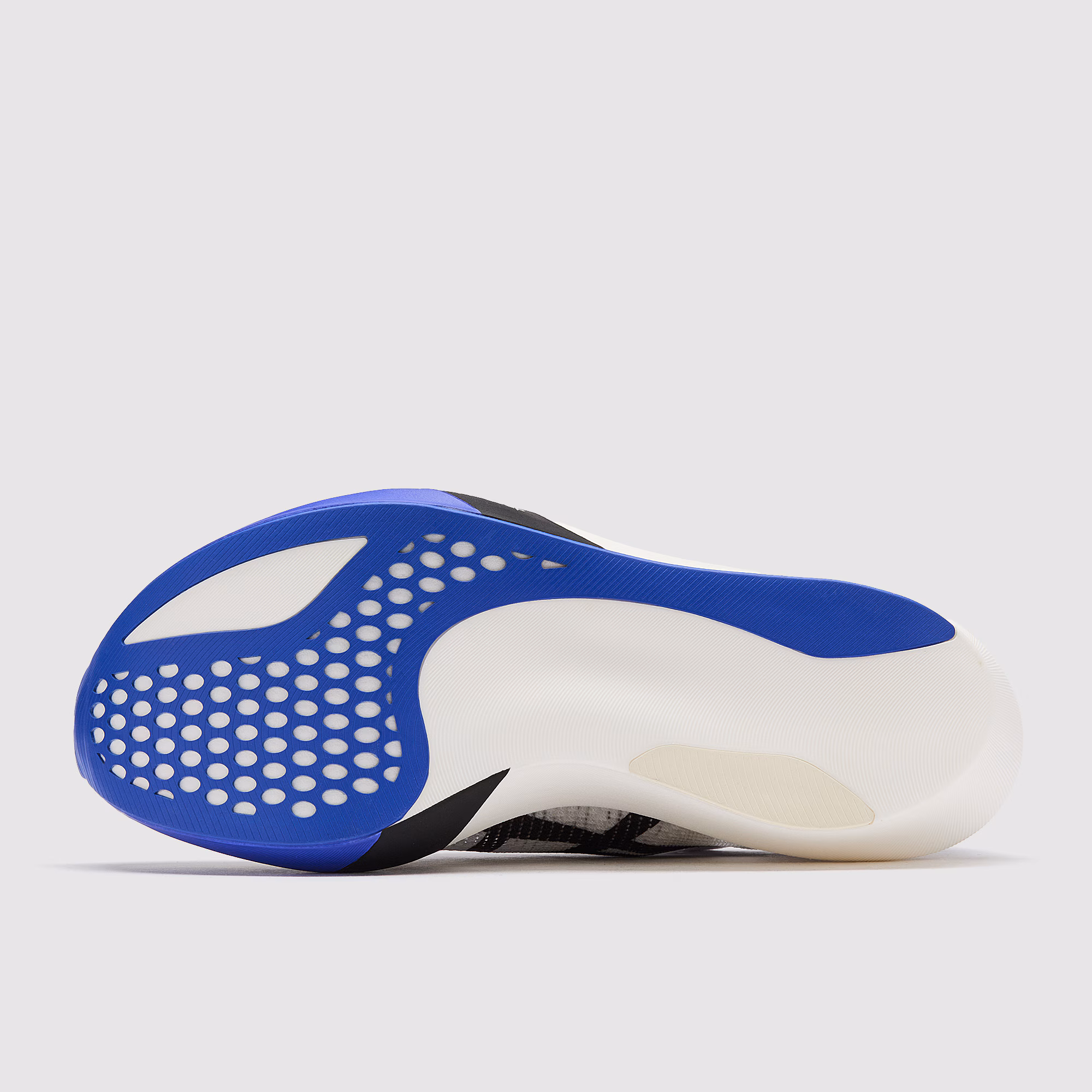 ASICS Metaspeed Sky Tokyo_2