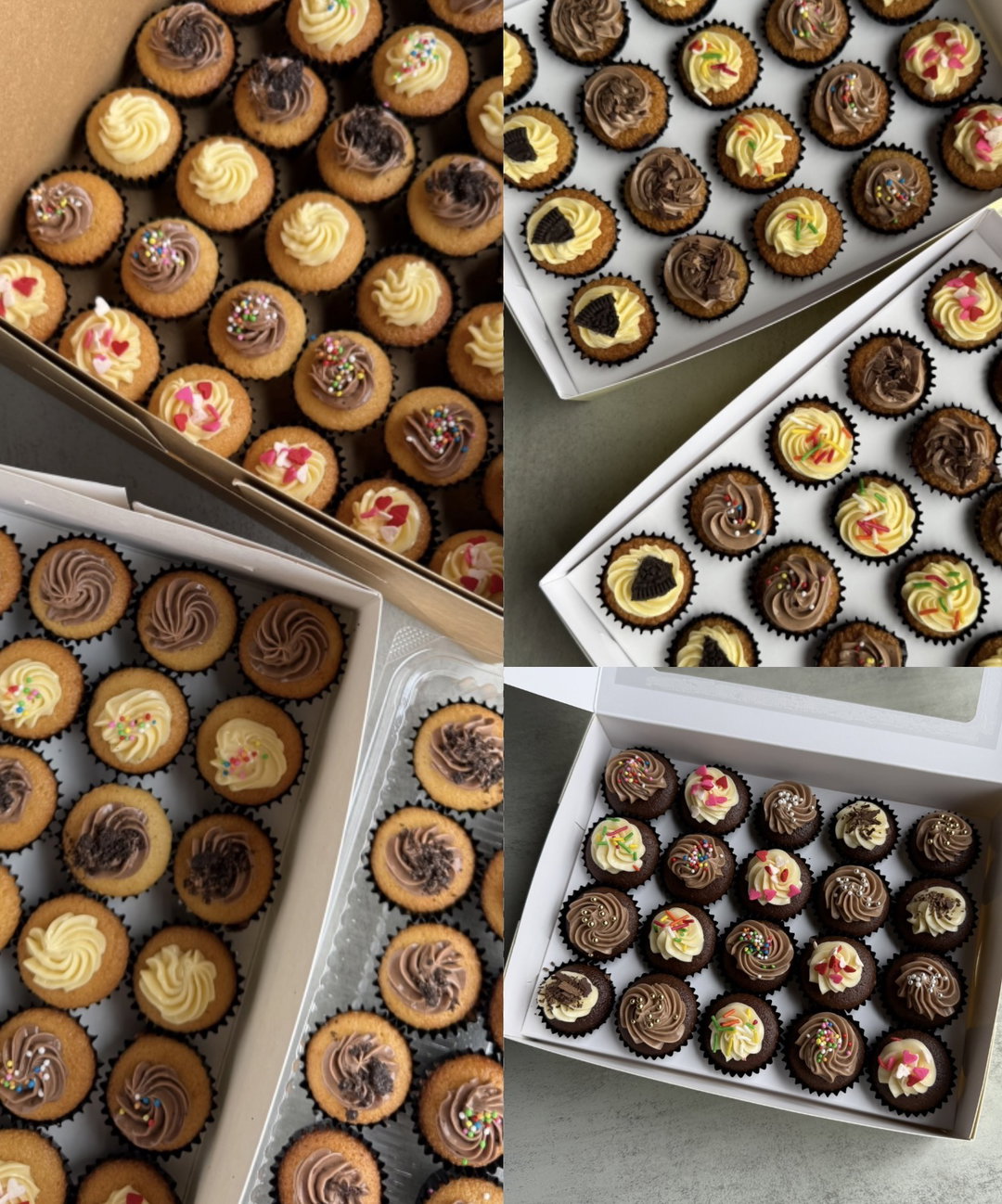 Mini Cupcakes