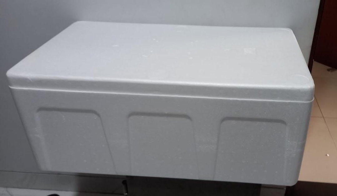 sterofom ukuran sedang / Paxel Big