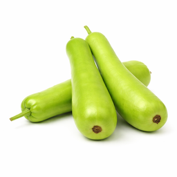 Bottle Gourd