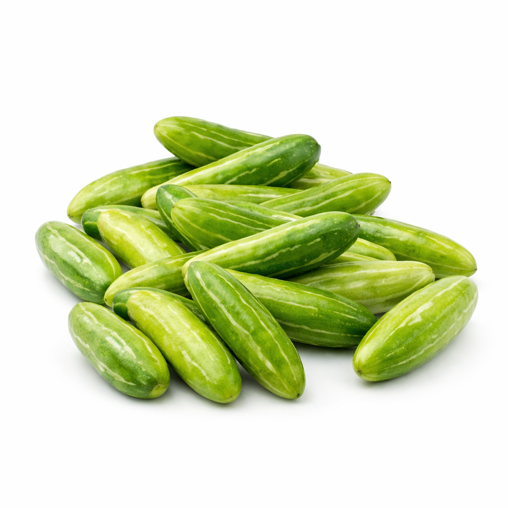 Tindora_0