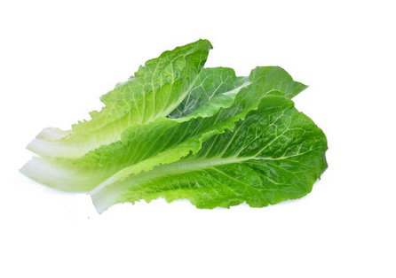 Romaine Hearts (2lbs / 32oz)_0