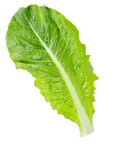 Romaine Hearts (1lb / 16oz)