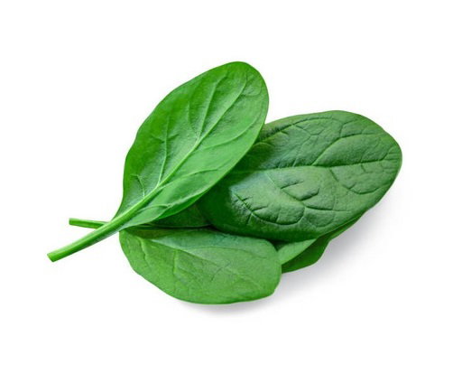 Baby Spinach (1lb)