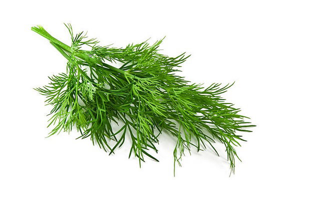 Dill (1oz)