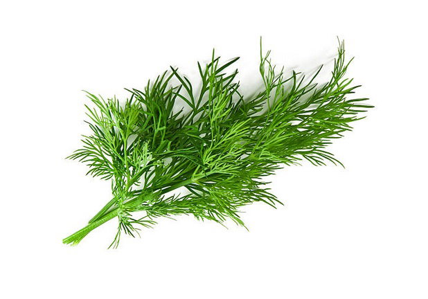 Dill (4oz) 