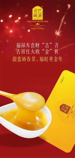 Gongba Tibetan Pure Mountain Honey | Jiujigong Plus+ Singapore