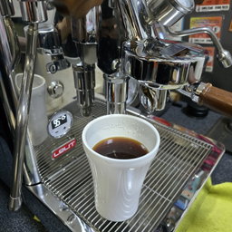 Lelit Bianca Coffee