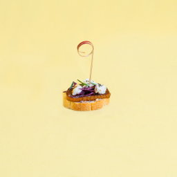 Smoked Duck (Crostini Set of 20)