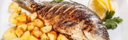 LES PLATS 
