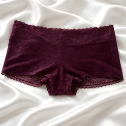 Aerie burgundy panty 