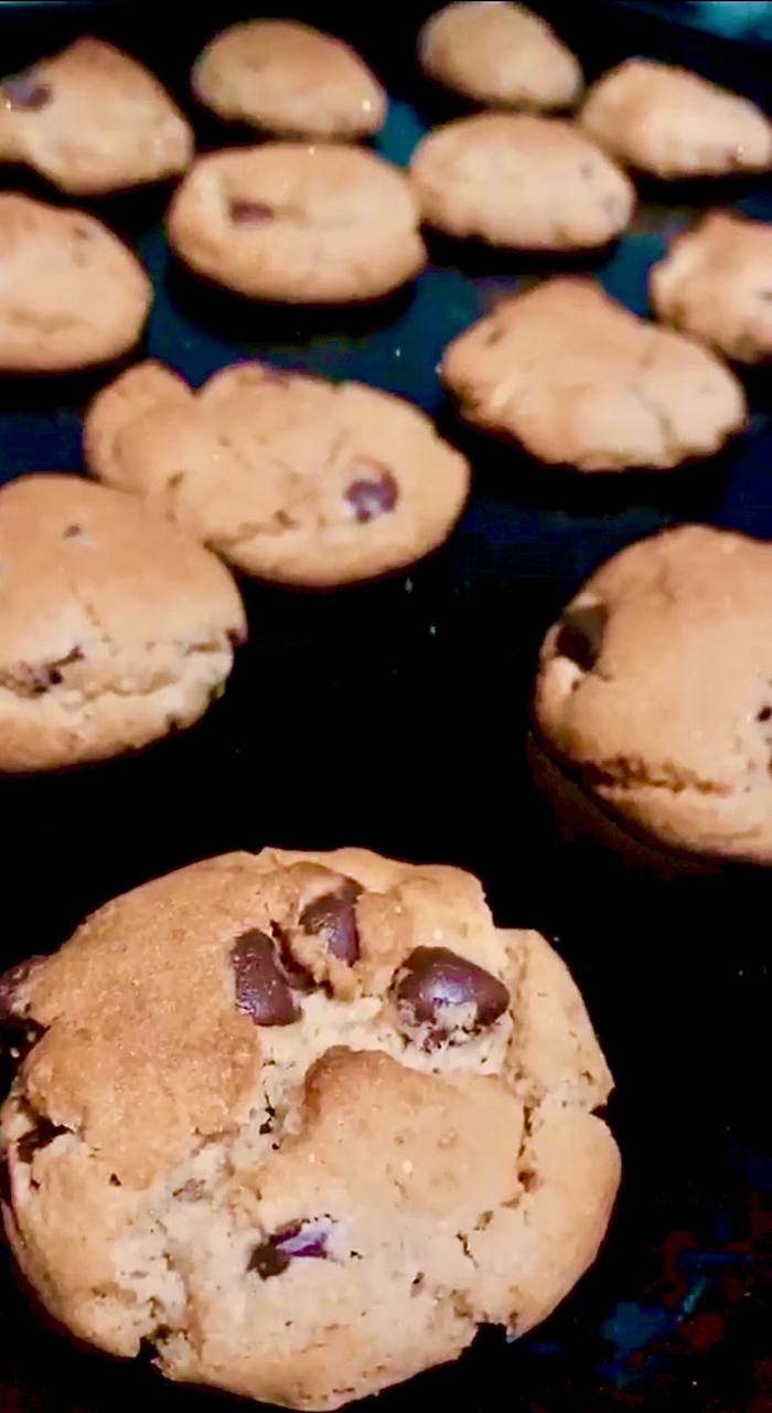 Chocolate Chip Cookie 