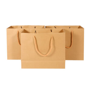 Paper Bags (220 × 260 × 100 mm)_0