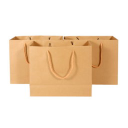 Paper Bags (220 × 260 × 100 mm)