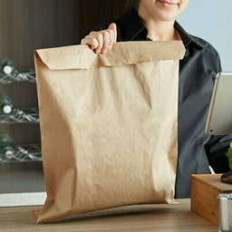 Kraft Paper Bags (340 × 260 × 100 mm)