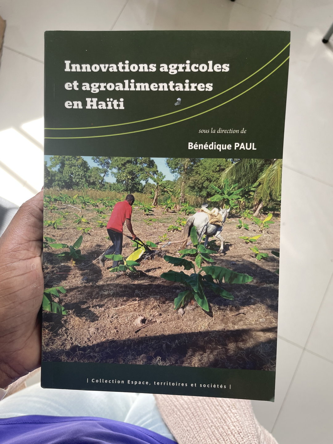 Innovations agricoles et agroalimentaires en Haïti - sous la direction de Bénédique Paul