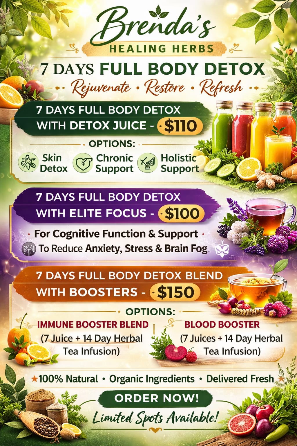 Elite Focus Program _1