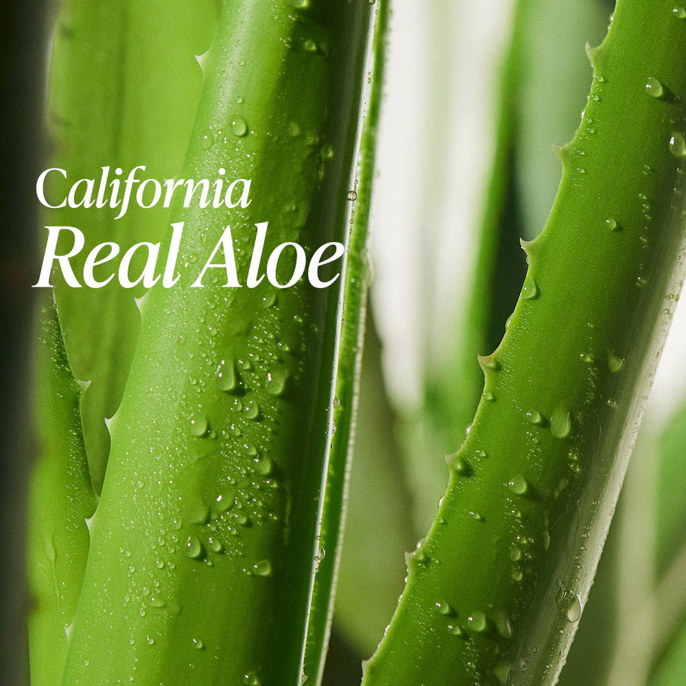 Real Squeeze Aloe Vera Toner_3