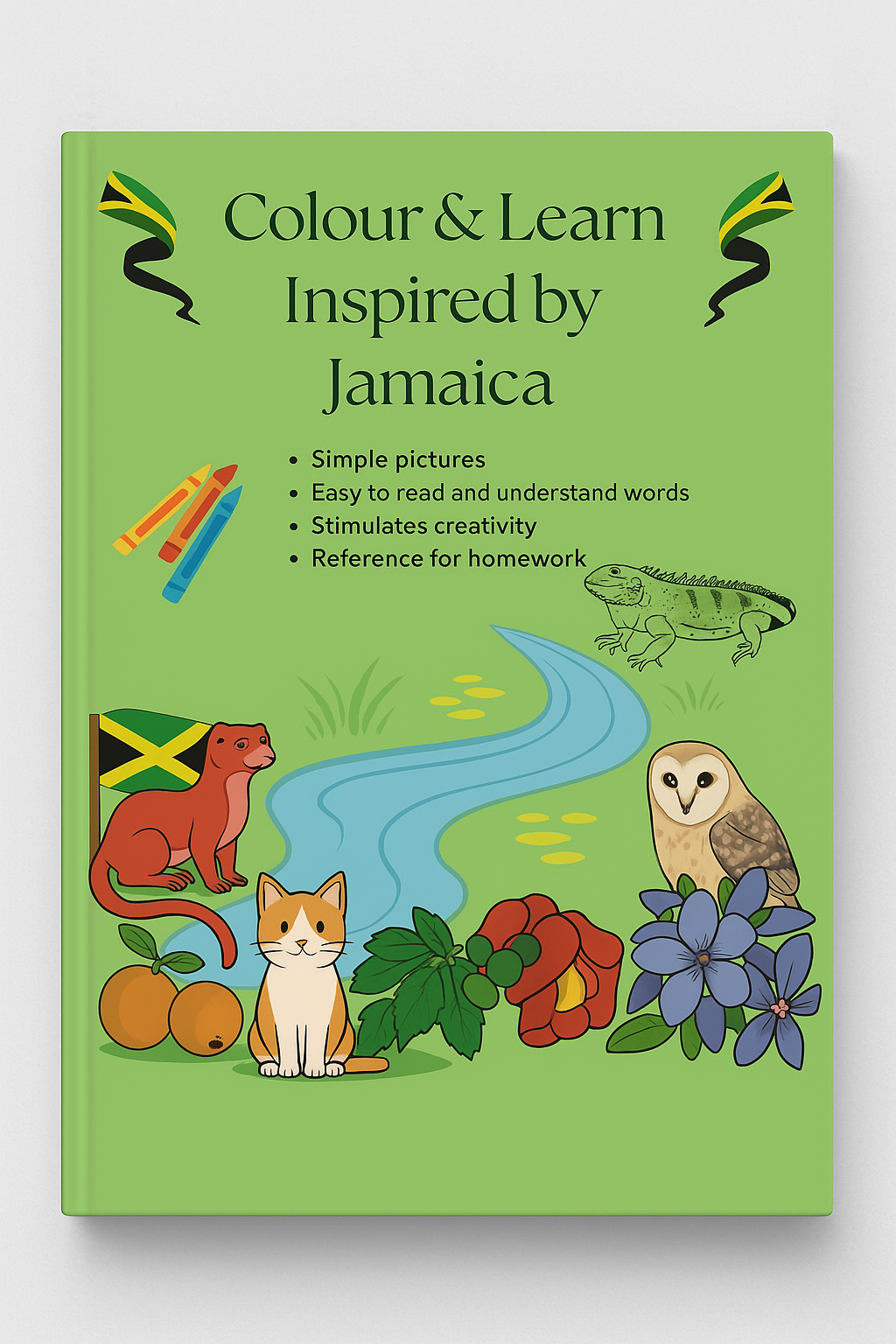 Colour & Learn Inspired by Jamaica, Colouring Book_0