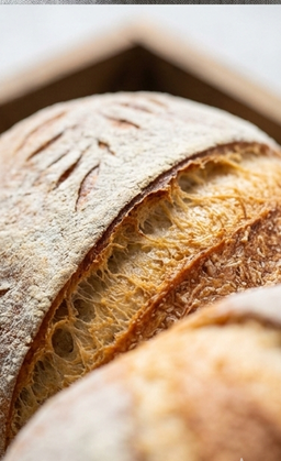 Sourdough Bread Loaf
