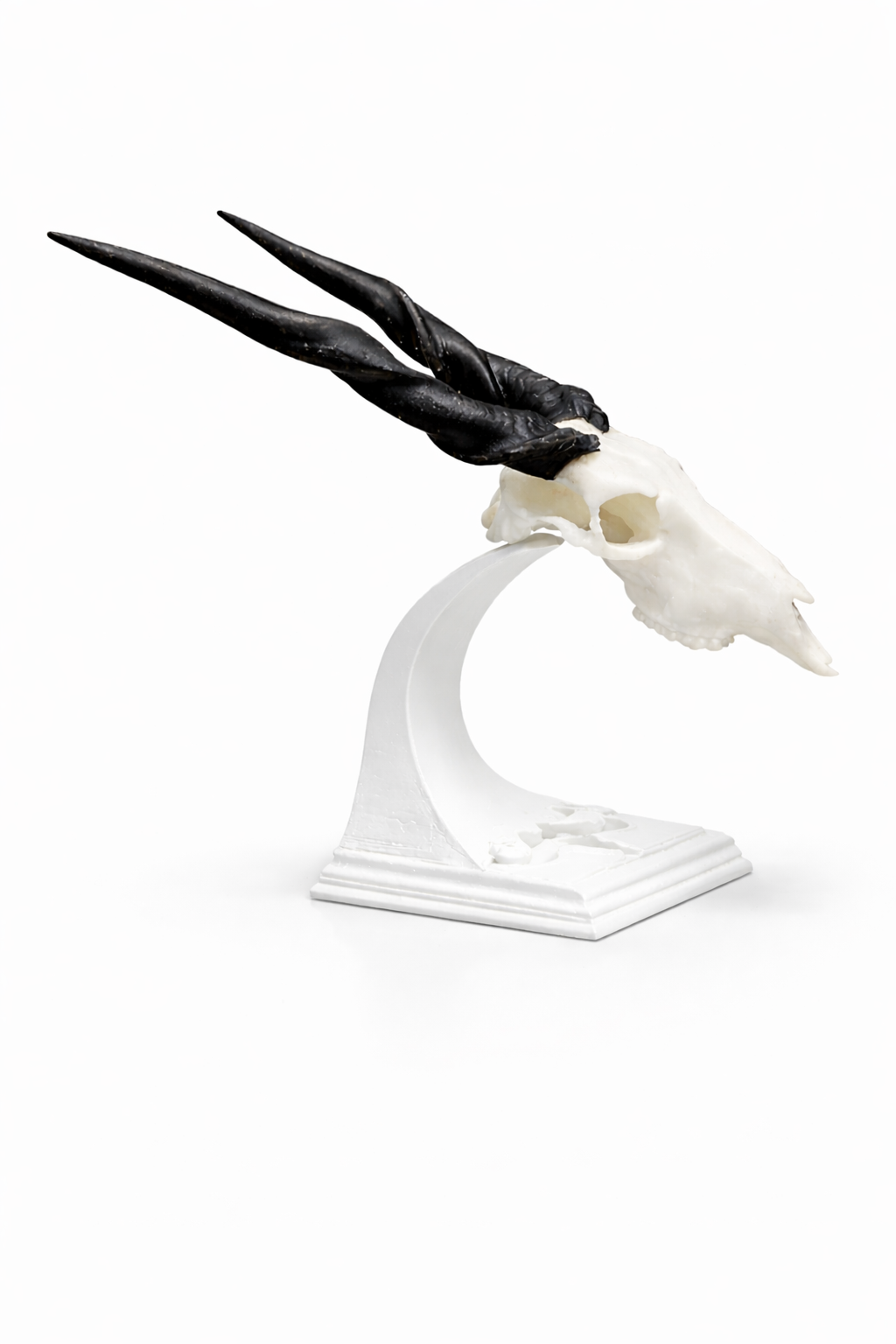 Stand for Mini Animal Skulls_0