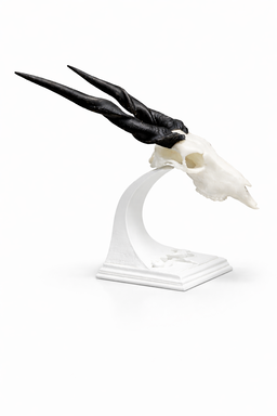 Stand for Mini Animal Skulls