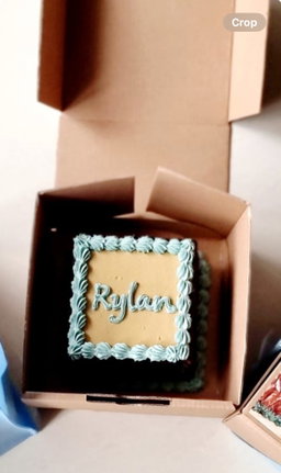 ᴍɪɴɪ ʜᴀᴍᴘᴇʀs ʙɪʀᴛʜᴅᴀʏ ᴄᴀᴋᴇs sᴢ 𝟷𝟶x𝟷𝟶 🎂 