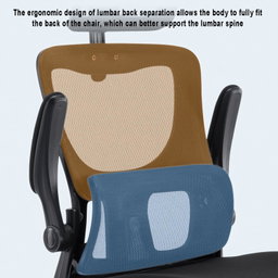 Mesh Computer Chair, Ergonomic Office Chair, Home Office Desk Chair, High Back Swivel Task Chair with Lumbar Support, Adjustable Height, Armrest & Headrest, Black (Black)