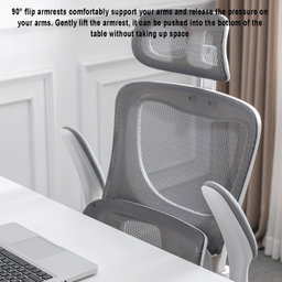Mesh Computer Chair, Ergonomic Office Chair, Home Office Desk Chair, High Back Swivel Task Chair with Lumbar Support, Adjustable Height, Armrest & Headrest, Black (Black)