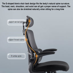 Mesh Computer Chair, Ergonomic Office Chair, Home Office Desk Chair, High Back Swivel Task Chair with Lumbar Support, Adjustable Height, Armrest & Headrest, Black (Black)