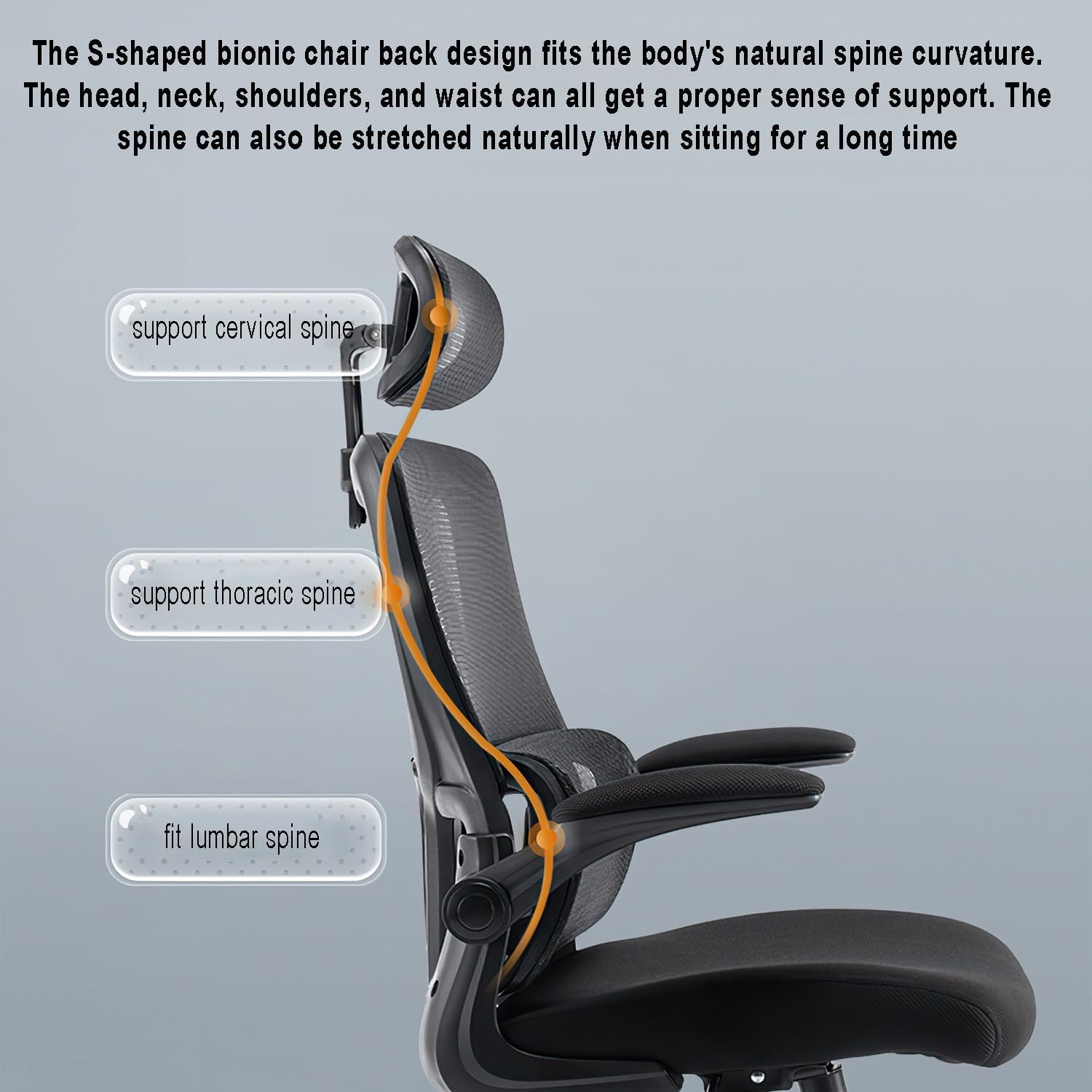 Mesh Computer Chair, Ergonomic Office Chair, Home Office Desk Chair, High Back Swivel Task Chair with Lumbar Support, Adjustable Height, Armrest & Headrest, Black (Black)_4