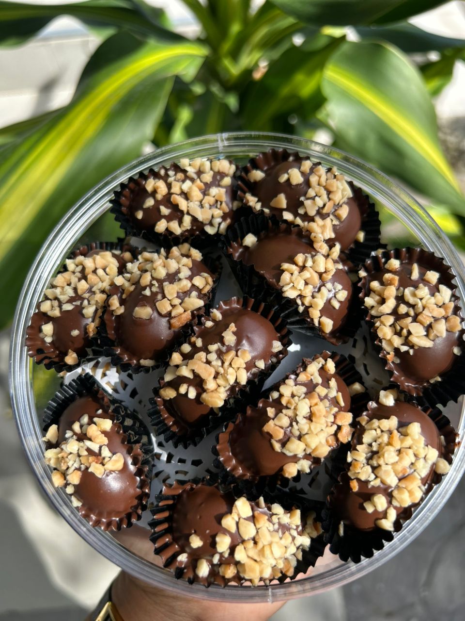 Almond London
